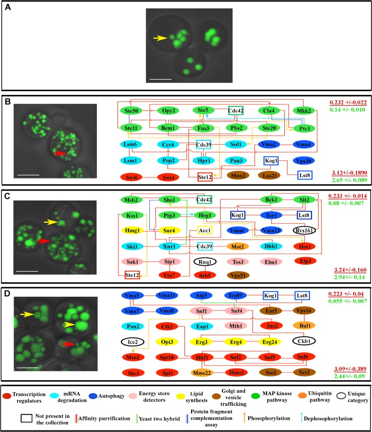 Fig 3