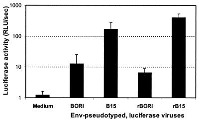 FIG. 1