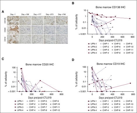 Persistence of long-lived plasma cells and humoral immunity in ...