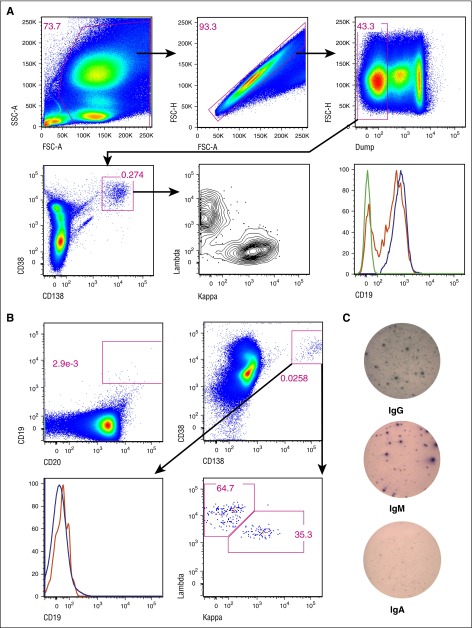 Persistence of long-lived plasma cells and humoral immunity in ...