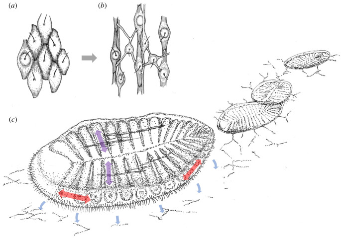 Figure 5. 