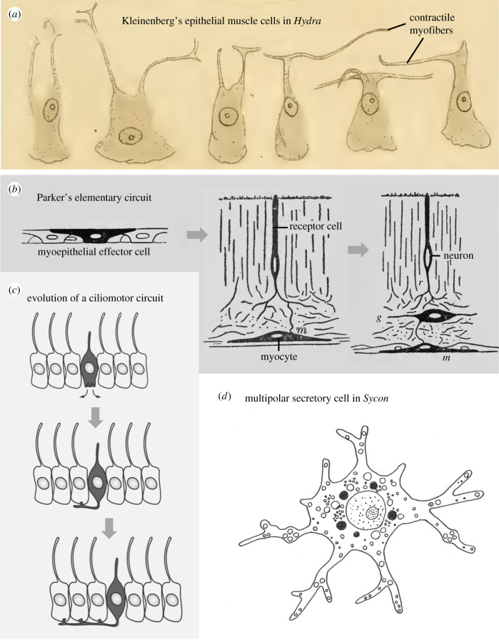 Figure 2. 