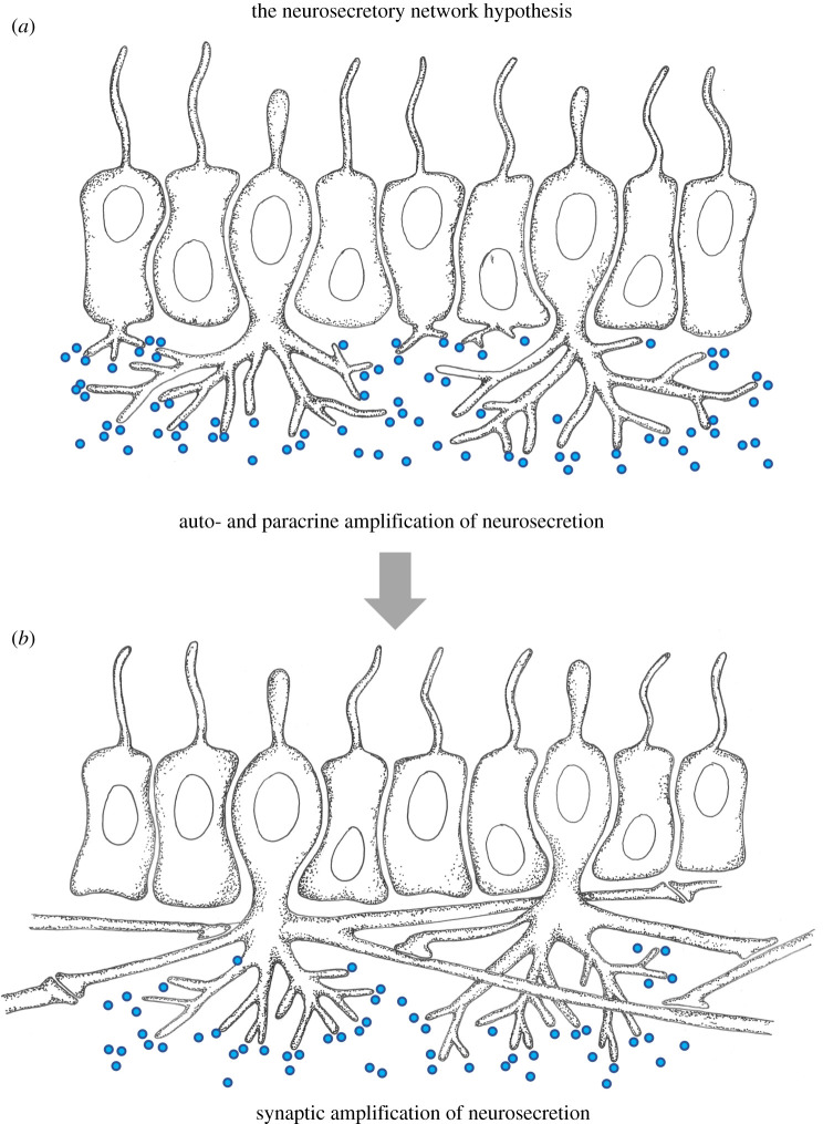 Figure 7. 