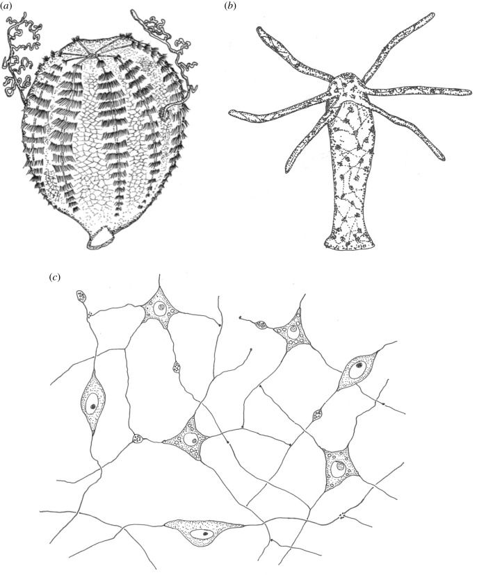 Figure 3. 