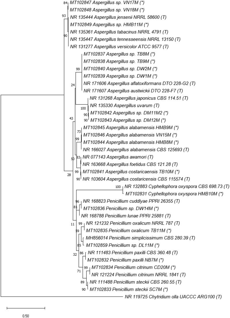 Figure 4.