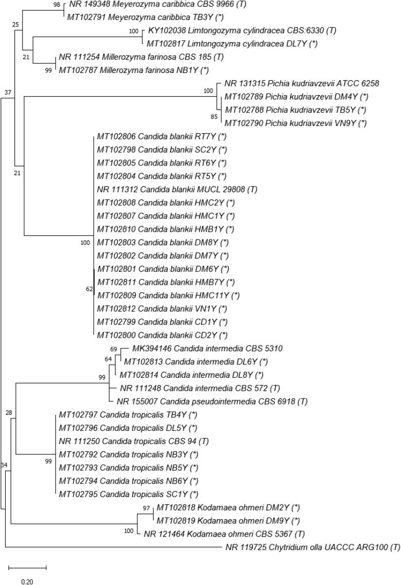 Figure 6.