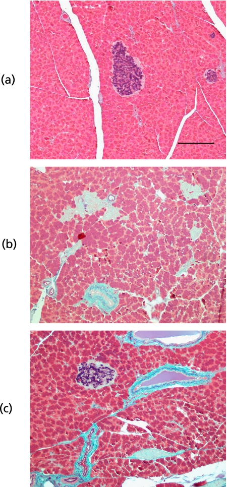 Fig. 8