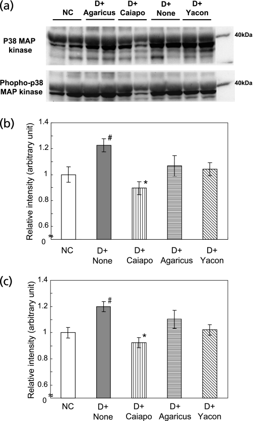 Fig. 7