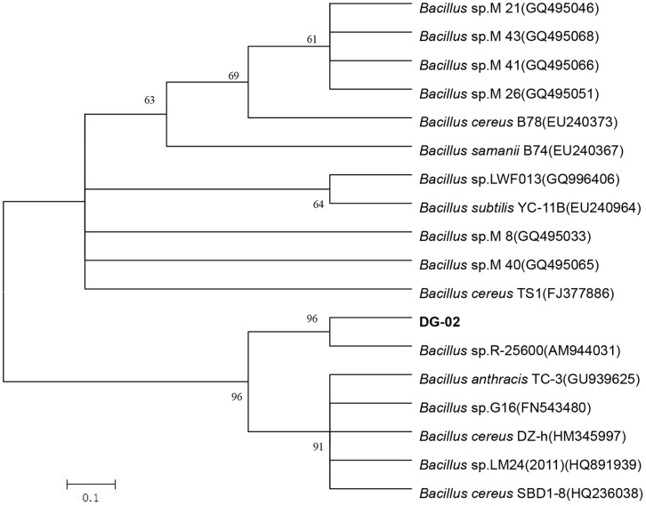 Figure 1