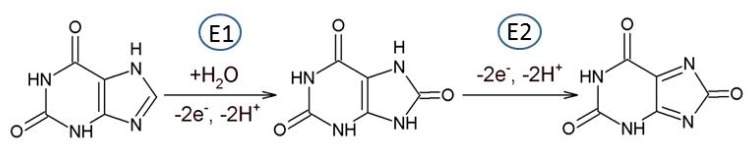 Scheme 3.