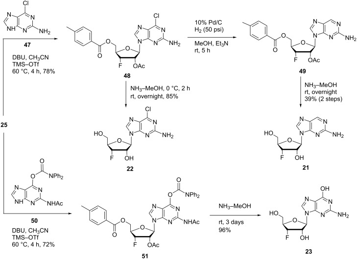 Scheme 5