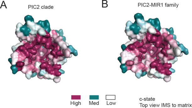 Figure 4—figure supplement 2.