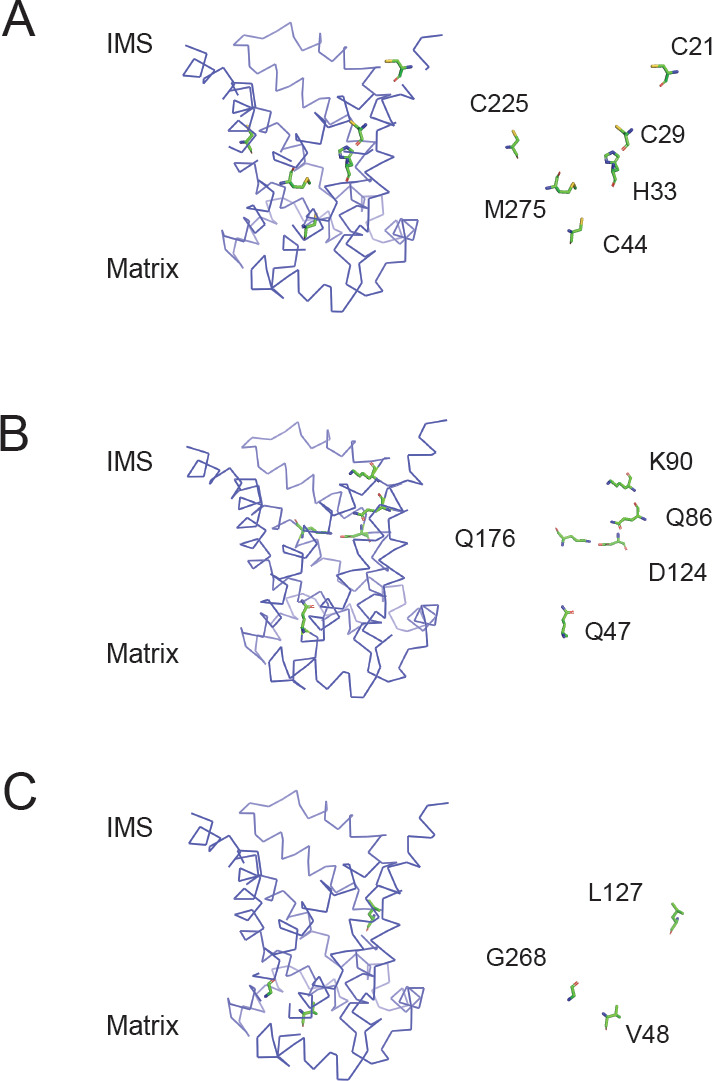 Figure 5—figure supplement 2.