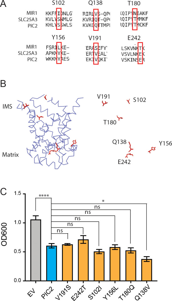 Figure 6—figure supplement 3.