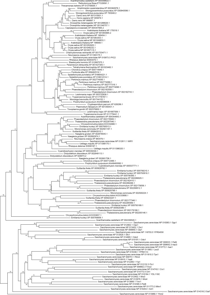 Figure 2—figure supplement 2.