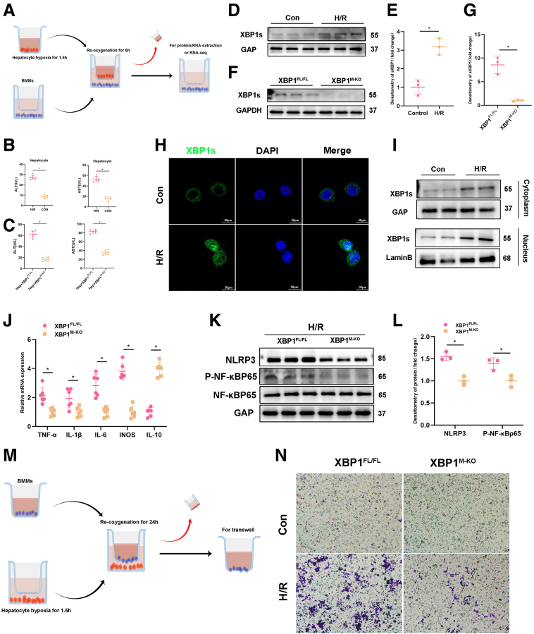 Figure 4