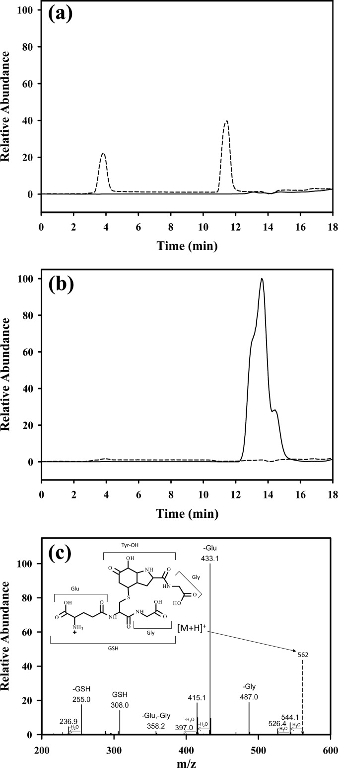 FIGURE 1.