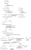 Scheme 1