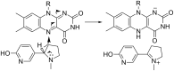Scheme 4