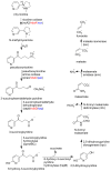 Scheme 8