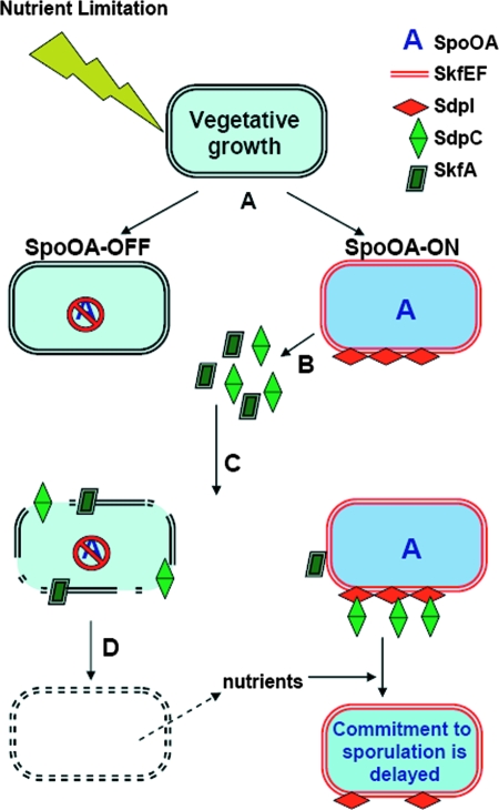 FIG. 9.