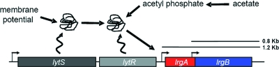 FIG. 6.