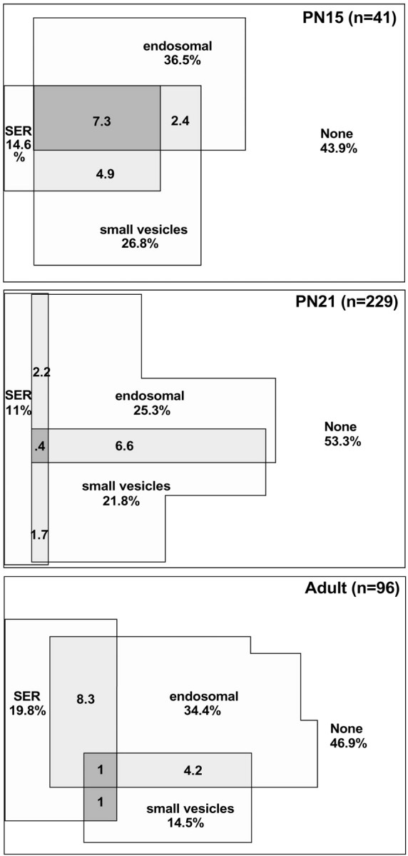 Fig. 11.