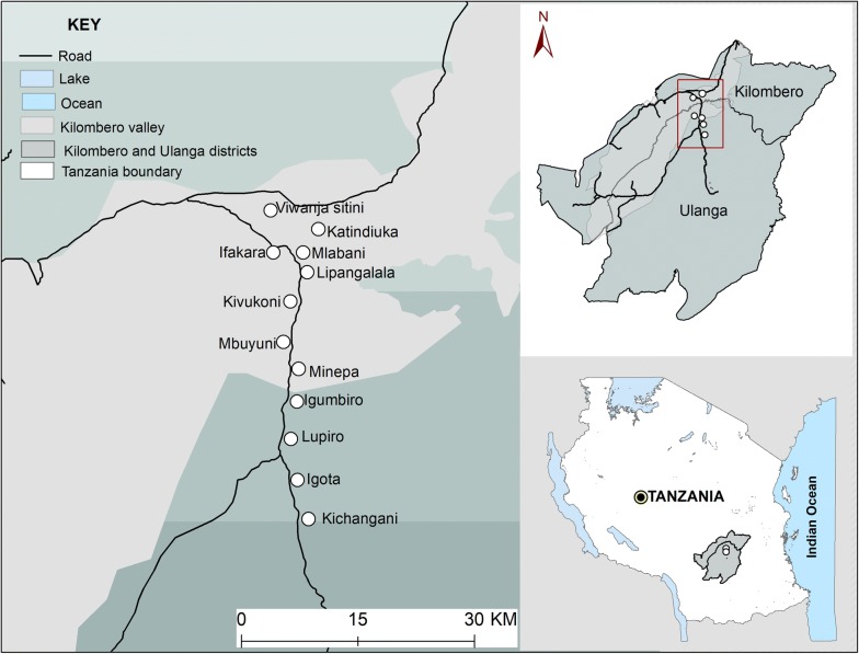 Fig. 1