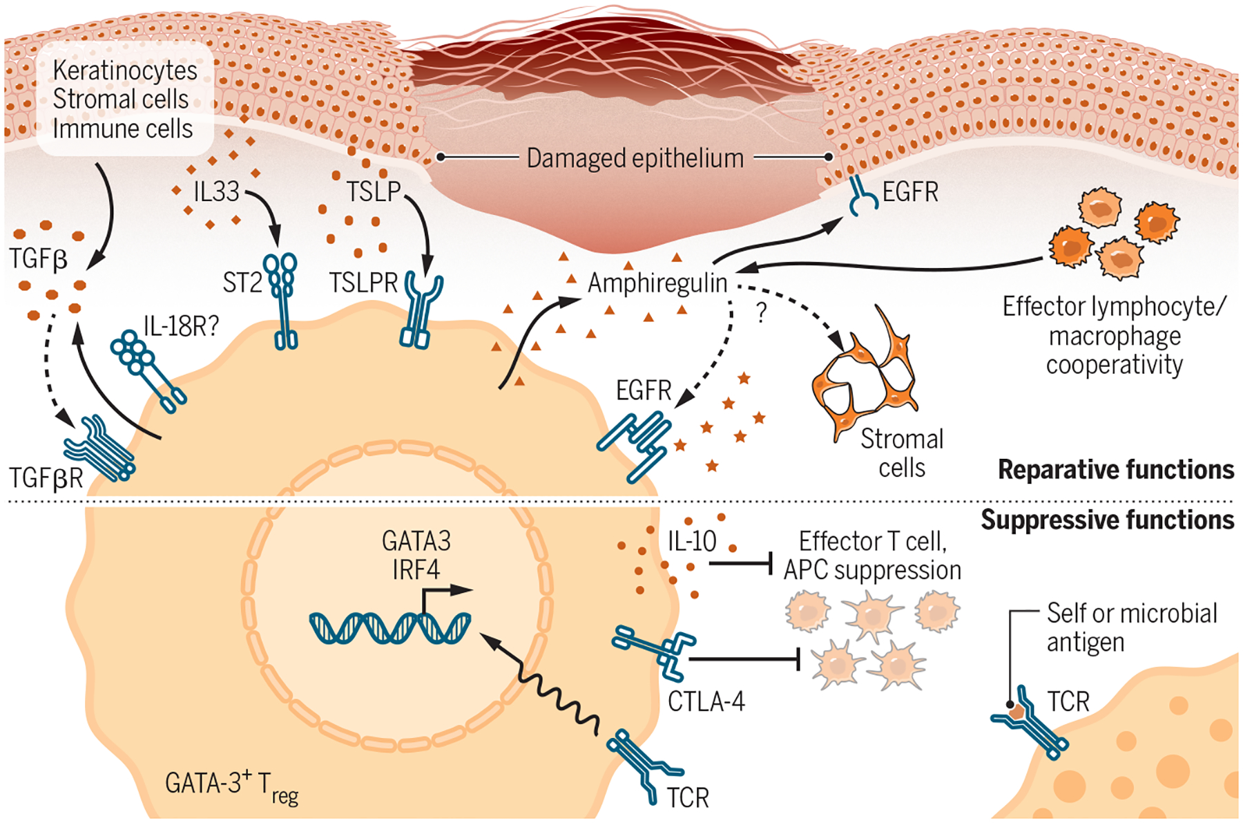 Figure 3-