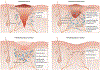 Figure 1-