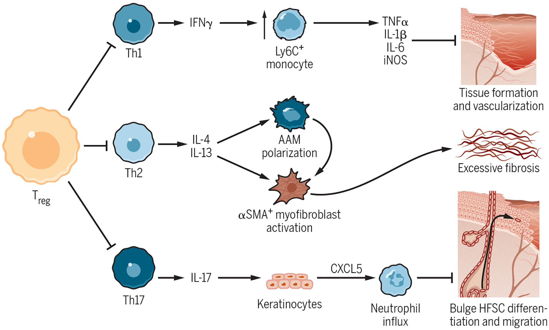 Figure 4-