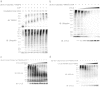 Supplemental Fig. 6