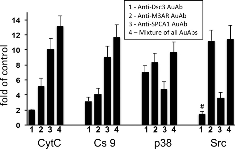 Figure 5.