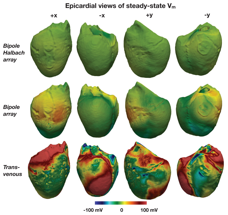 Figure 12