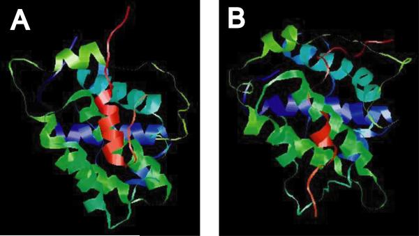 Fig. (3)