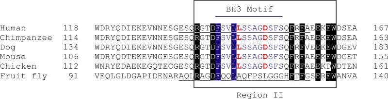 Fig. (1)