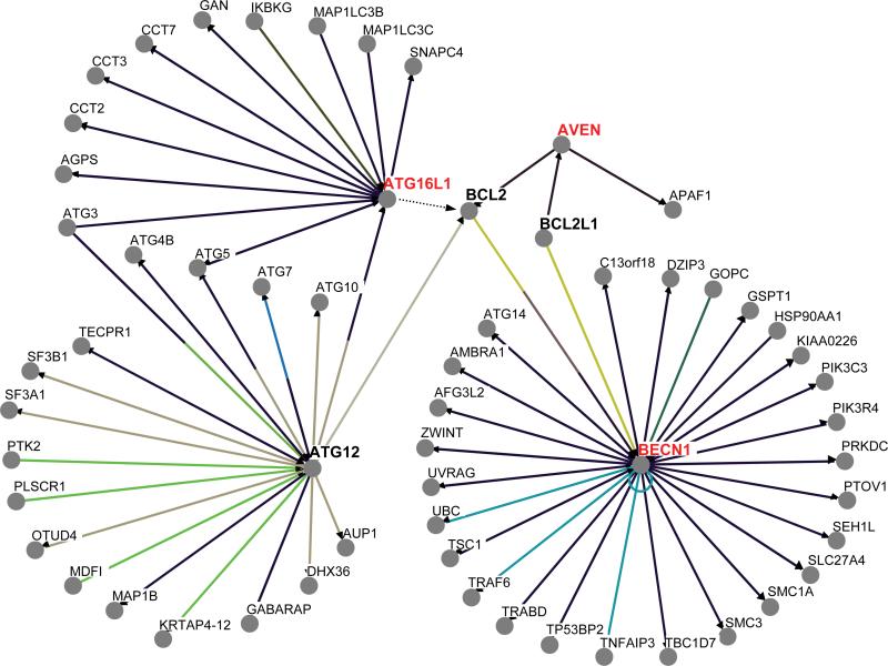 Fig. (4)