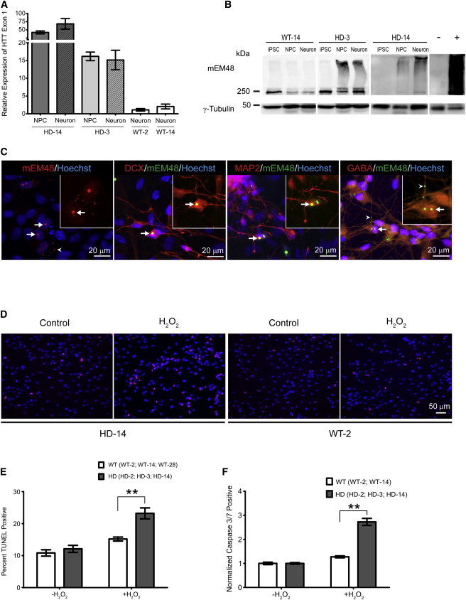 Figure 3