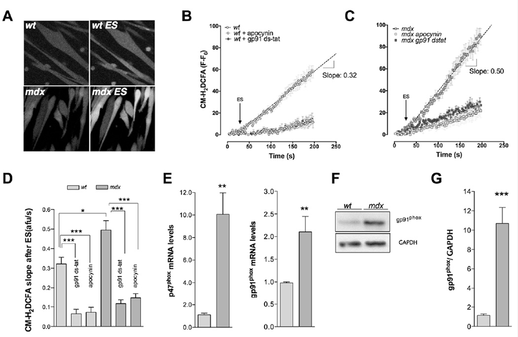 FIGURE 4