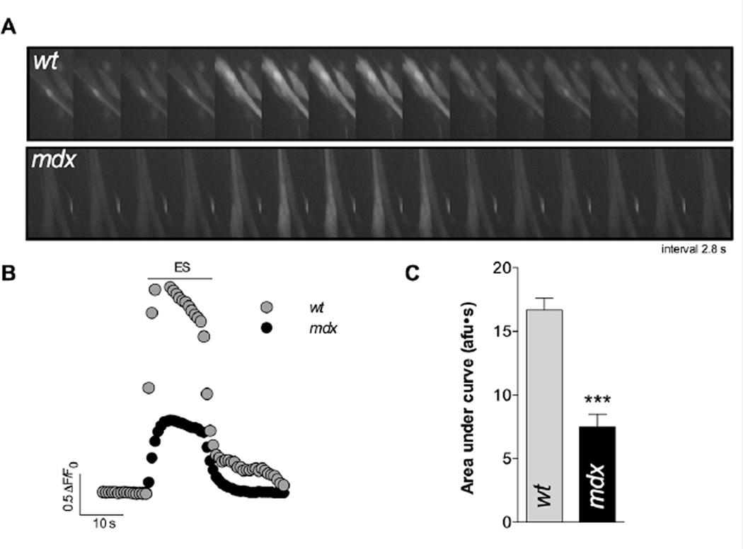 FIGURE 3