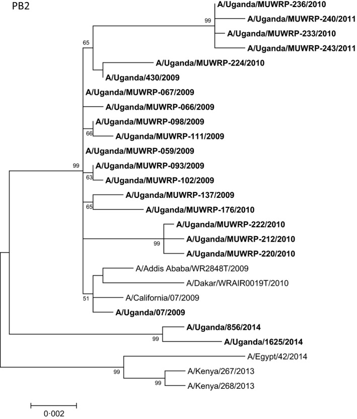 Figure 4