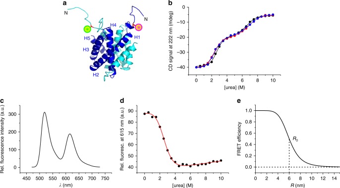 Fig. 2