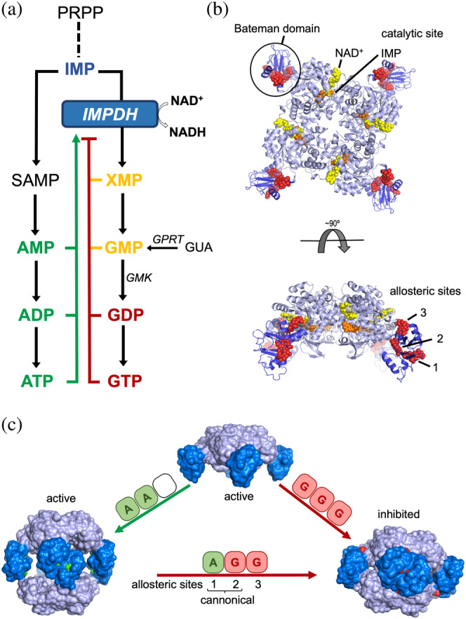 FIGURE 1