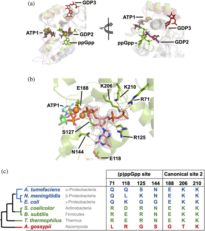 FIGURE 6