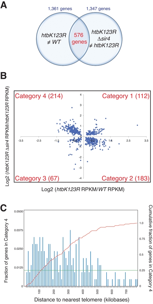 FIGURE 4: