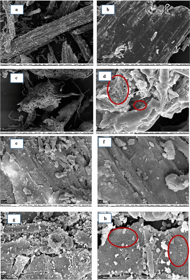 Fig. 7