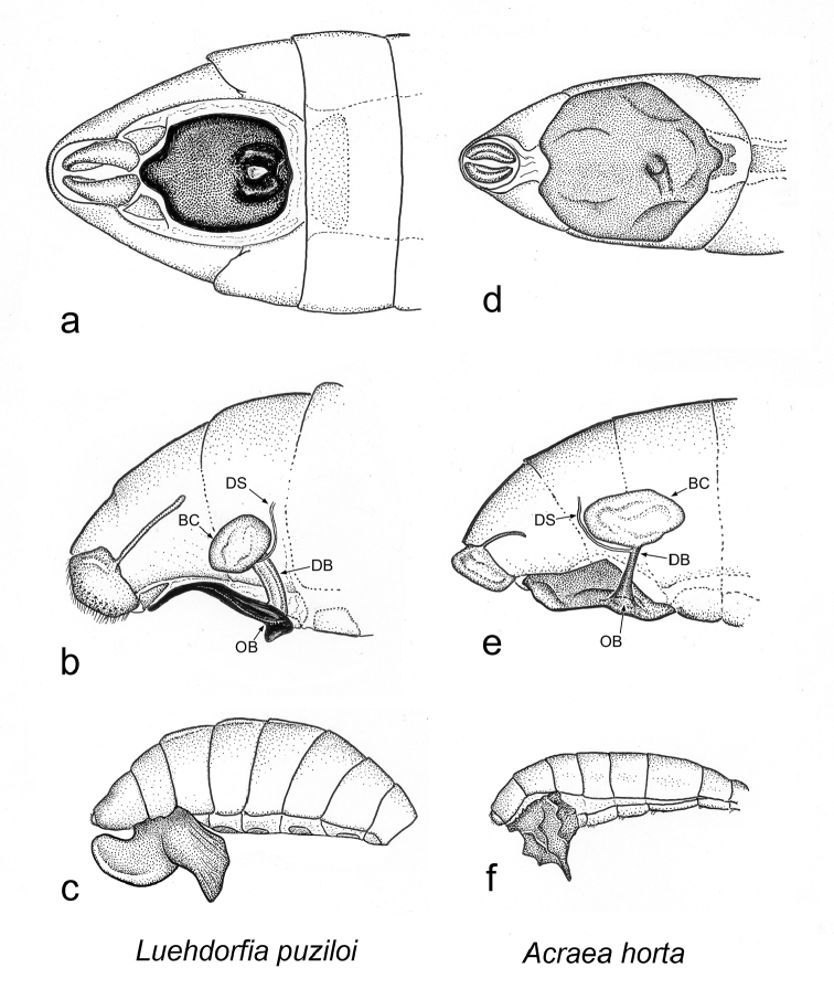 Figure 37.