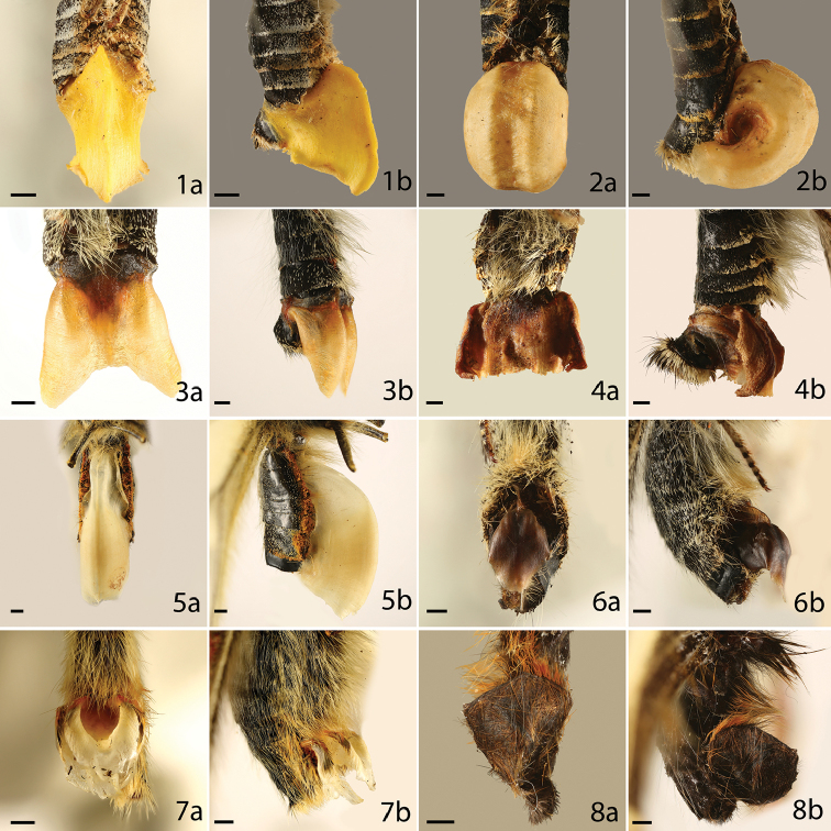 Figures 1–8.