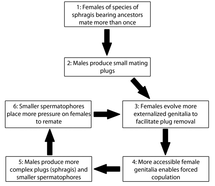 Figure 35.