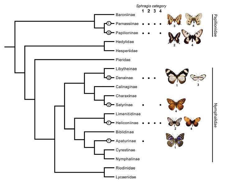 Figure 36.